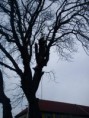 /album/hasici-25-2-2012-kaceni-kastanu/dsc00020-jpg1/