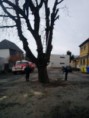 /album/hasici-25-2-2012-kaceni-kastanu/dsc00018-jpg1/